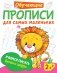 Учимся писать буквы и цифры фото книги маленькое 2