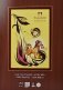 Папка для пастелей "Палаццо. Фуксия", А4, 10 листов фото книги маленькое 2