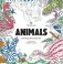 Animals Coloring Book Box Set фото книги маленькое 2