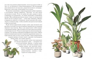 Утешение природой фото книги 3