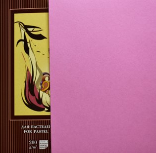 Папка для пастелей "Палаццо. Фуксия", А4, 10 листов фото книги 2