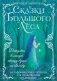 Сказки Большого Леса: выпусти вольную птицу души на свободу. Метафорические открытки для спокойствия и гармонии фото книги маленькое 2
