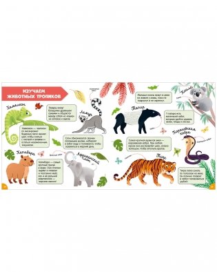 Главная книга малыша. Главная книга малыша о животных фото книги 6