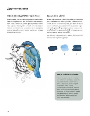 Рисуем акварелью: птицы леса и сада фото книги 11
