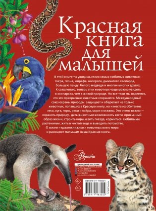 Красная книга для малышей фото книги 12