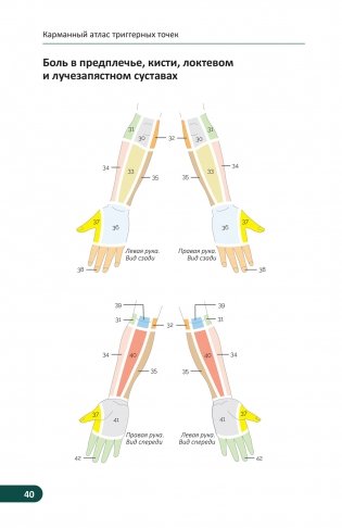 Карманный атлас триггерных точек. Иллюстрированное руководство по анатомии мышц, зонам боли и миофасциальным меридианам фото книги 10