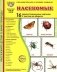 Насекомые (16 демонстрационных картинок с текстом) фото книги маленькое 2
