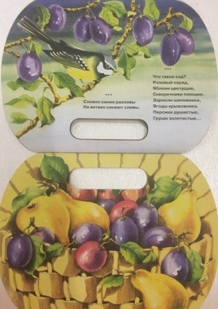 В саду фото книги 4