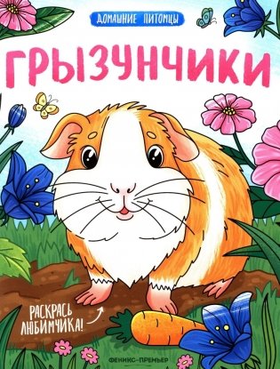 Грызунчики: книжка-раскраска фото книги
