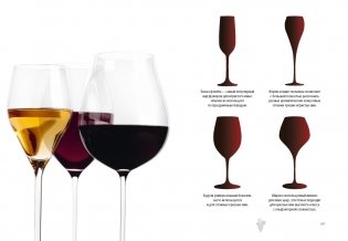 Маленькая книга гурмана. Вино фото книги 5