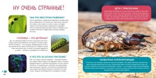 Моя первая книга о животных. 200 фотографий фото книги 4