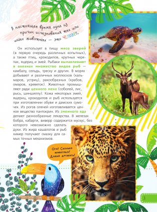 Красная книга для малышей фото книги 4