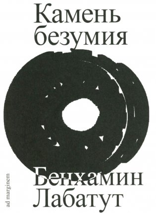 Камень безумия фото книги