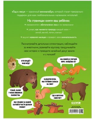 Виммельбух. Круглый год. Год в лесу фото книги 8