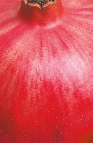 Блокнот с сочным гранатом (А5, мягкая обложка, 32 л.) фото книги