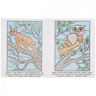 Чудесный день в лесу. Водная раскраска фото книги 3