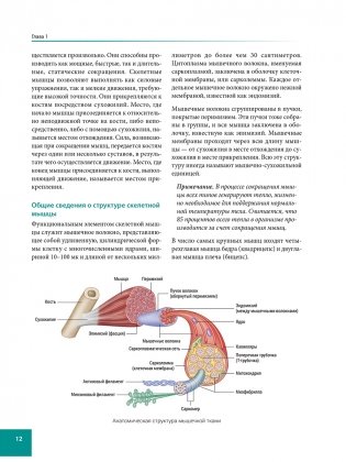 Анатомия спортивных травм фото книги 9