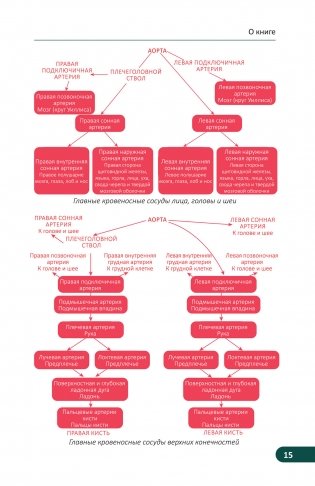 Карманный атлас скелетных мышц. Иллюстрированный справочник фото книги 10