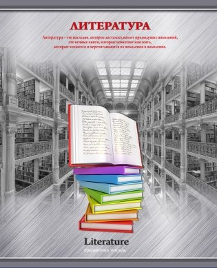 Тетрадь "Яркий акцент. Литература", А5, 48 листов, линия фото книги