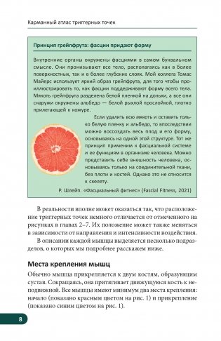Карманный атлас триггерных точек. Иллюстрированное руководство по анатомии мышц, зонам боли и миофасциальным меридианам фото книги 7