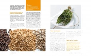 Изысканная коллекция. Путеводители по миру виски, пива и вина. Комплект из 3-х книг в коробе (Love&Whiskey, Wine Folly, Beer Expert) фото книги 14