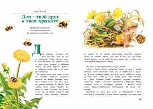 Большой Кыш фото книги 3
