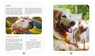 Я и моя собака. Как понять питомца и стать ему другом фото книги 7