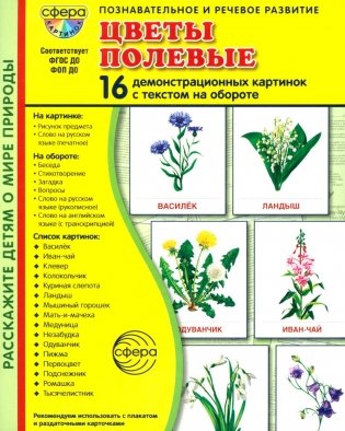 Цветы полевые. 16 демонстрационных картинок с текстом на обороте фото книги