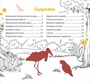 Экзотические птицы. Серия "Планета животных" фото книги 3