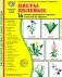Цветы полевые. 16 демонстрационных картинок с текстом на обороте фото книги маленькое 2