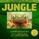 Jungle. A Photicular Book фото книги маленькое 2