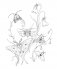 Woodland Wonderland : A Tranquil Coloring Retreat – A Calming Coloring Book of Flowers and Forest Animals for Adults фото книги маленькое 9