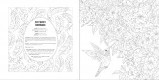 Animals Coloring Book Box Set фото книги 7