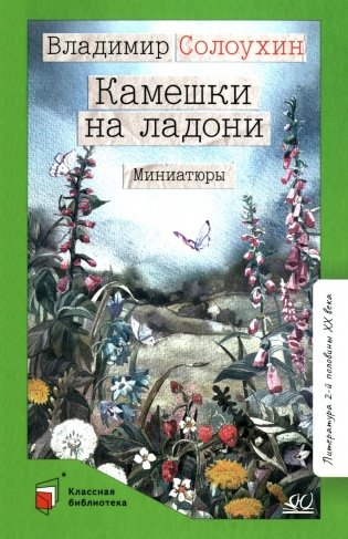 Камешки на ладони: миниатюры фото книги