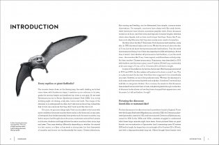 Dinosaurs фото книги 4