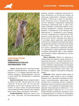 Красная книга Республики Беларусь. Животные фото книги 6