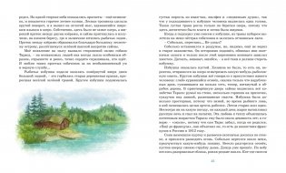 Серая шейка. Рассказы фото книги 7