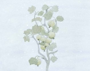 Тайна Хвоинки фото книги 2