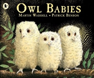 Owl babies фото книги