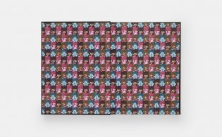 Kaws + Warhol фото книги 4