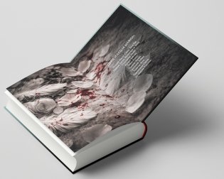 Падший ангел. Сквозь ад и рай фото книги 4