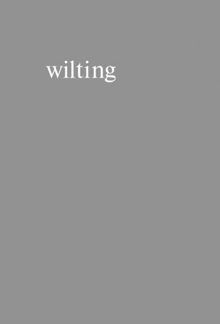 The Sun and Her Flowers. Белые стихи, от которых распускаются цветы фото книги 10