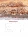 Книга Нового года и Рождества. Наши дни фото книги маленькое 5