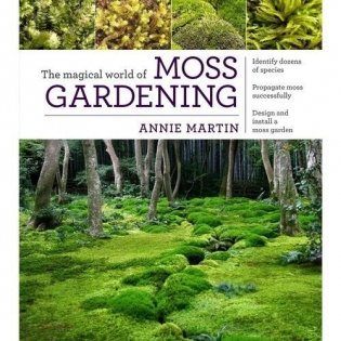 The Magical World of Moss Gardening фото книги