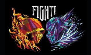 Кардхолдер. Mortal Kombat фото книги