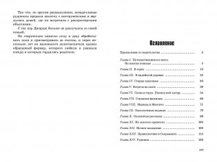 Маленький золотоискатель фото книги 6