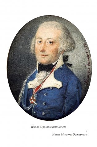 Граф Валицкий. Своя игра. Роман фото книги 5