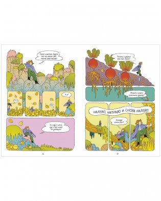 Огневка и путь на остров фото книги 11