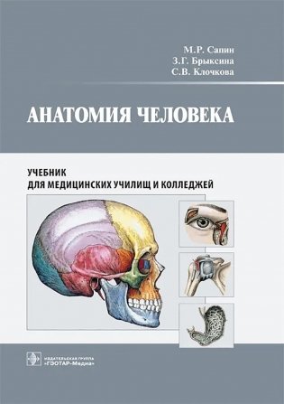 Анатомия человека: учебник для медицинских училищ и колледжей фото книги