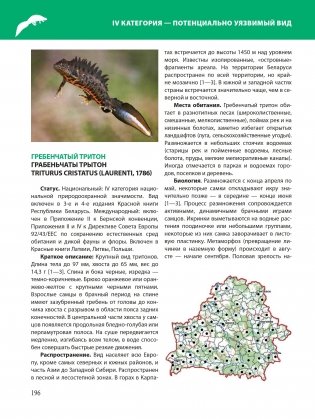 Красная книга Республики Беларусь. Животные фото книги 10